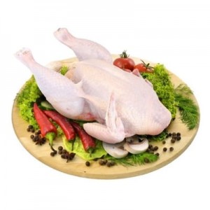 KURCZAK TACKA OK.1,7KG