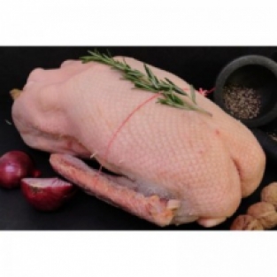 GÁËÁš TUSZKA ÁšWIEŻA OK.3,5KG