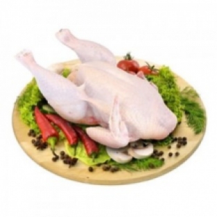 KURCZAK TACKA OK.1,7KG